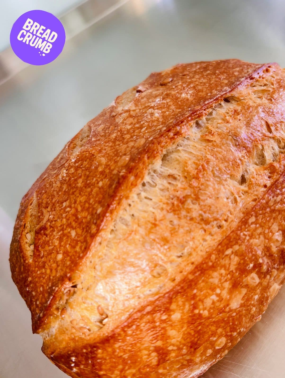 A golden sourdough loaf, scored and freshly baked