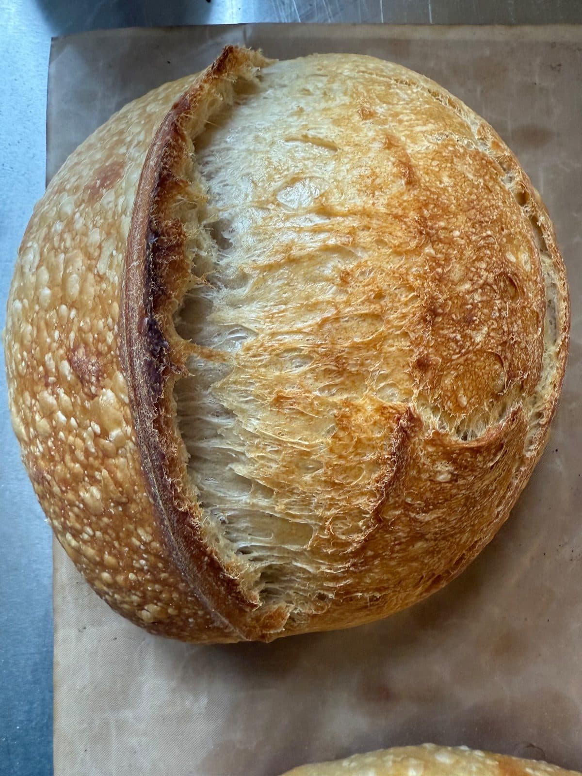 A round sourdough loaf with a deep scored crust