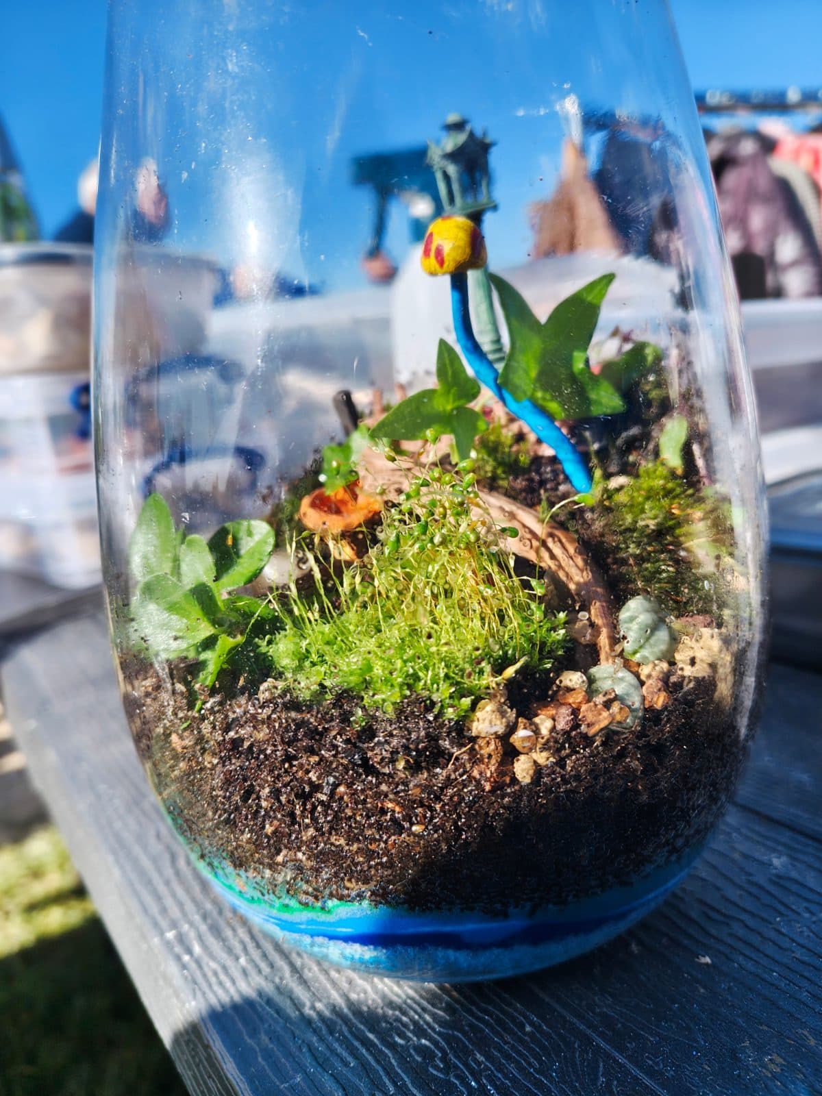 A planted terrarium in a rounded glass vessel with a bright blue base